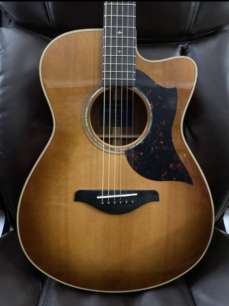 Front photo correctly aligned for capture – no cropping of the body